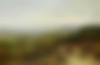 Bracken gathering (preview)