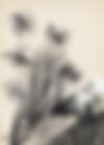 Untitled (preview)