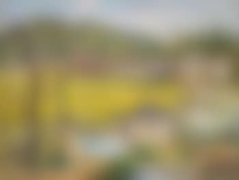 View of village (preview)