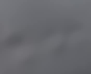 Quattro ovali in grigio (preview)