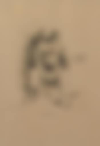 Figura seduta (preview)