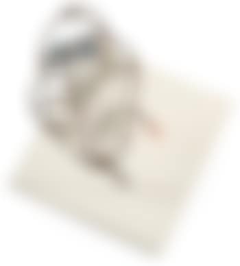 Untitled (preview)