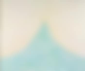Shark Man (preview)