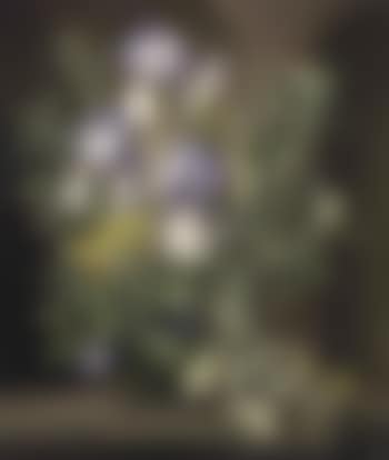 Flags and morning glory in an alcove (preview)