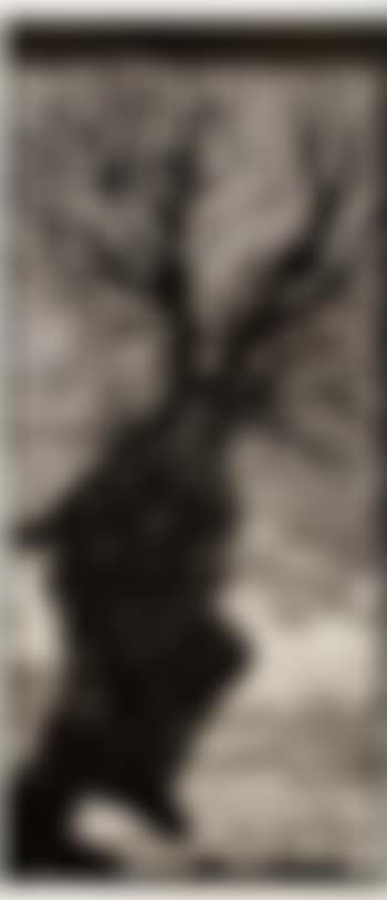 Walking man (preview)