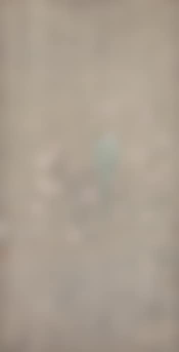 White plum and parrot (preview)