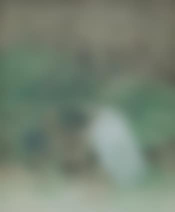 Egret and lotus (preview)