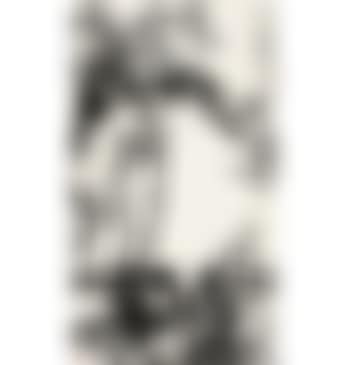 Ink Plum Blossom (preview)