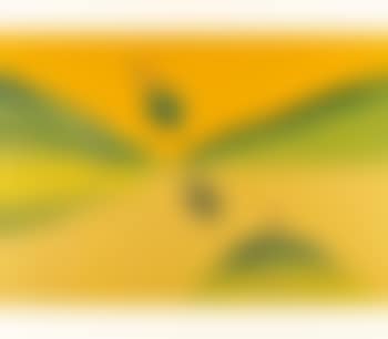Untitled (Bird, Tree And Mountain) (preview)