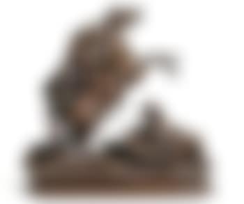Asiatischer Reiter jagt einen Tiger (preview)