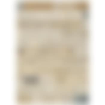 Zhangs Family Tree (preview)
