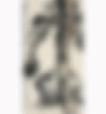 Ancient Cypress And Mynahs (preview)