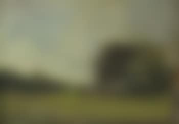 Bewaldete Landschaft (preview)