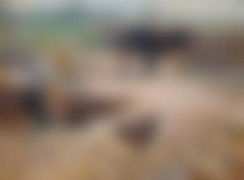 Torfstecher mit Ochsengespann (preview)