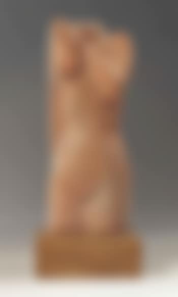 Torso Of a Nude (preview)
