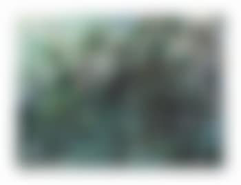 Houses on a Green Hill (preview)