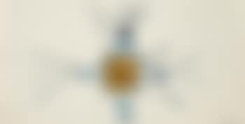 Untitled (preview)