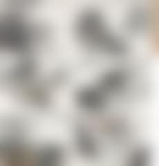 Landscapes (preview)