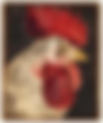 Tête de coq (preview)