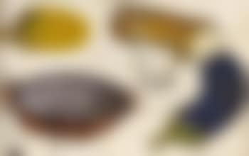 Nature morte (preview)