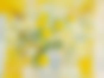 Fleurs (preview)
