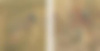 Twenty-nine Erotic Paintings (preview)