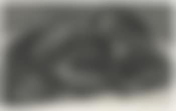 A Fur Muff With a Band Of Brocade (Pennington 1950) (preview)