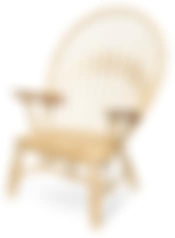Peacock chair (preview)