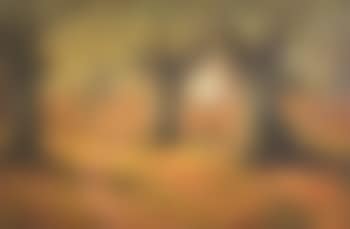 Deer in Burnham Forrest (preview)