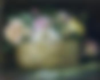 Still Life (preview)