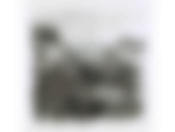 Highveld Landscape (preview)