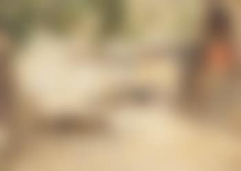Cortile rustico (preview)
