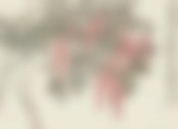 Wisteria (preview)