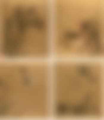 Flower And Birds (preview)