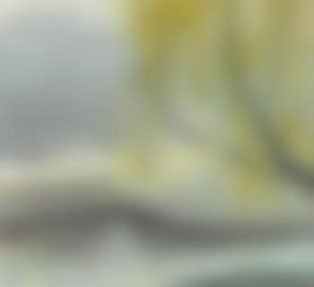 Willow Tree (preview)