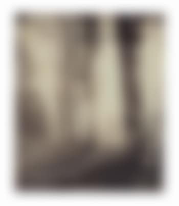 Saint Cloud (allée du parc) (preview)
