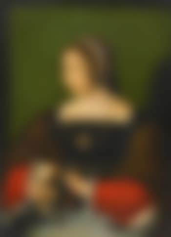 Portrait Of a Lady, Half Length, Wearing a Fur Stole And a Lace And Brocade Headdress, With a Small Dog (preview)