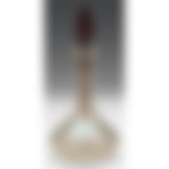 Perfume bottle (preview)