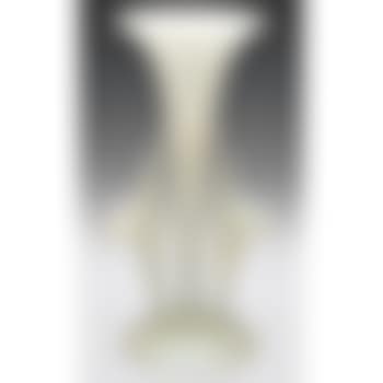 Vase (preview)