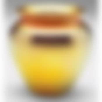 Vase (preview)