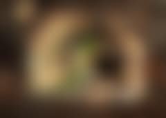 En hvælvet Gang i Colosseum (preview)