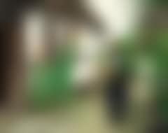 A girl is looking at a hen with chickens (preview)