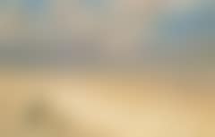 Girl with her dog on Skagen beach (preview)