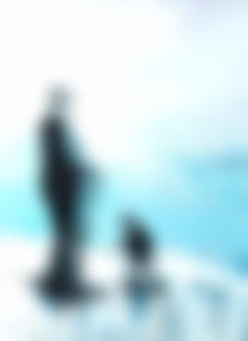 Winter shepherd (preview)