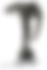 Man and serpent (preview)