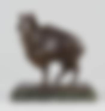 Bouc (preview)