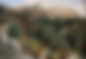 Paysage (preview)