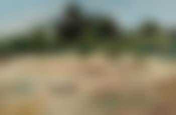 Figures with a Dog (preview)