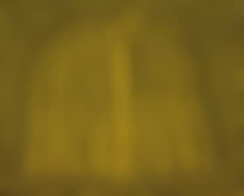 Pumpkin (preview)