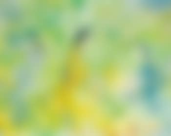 Composition (preview)